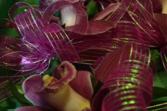 2019-GSR-Luau-WoA-DSC_0010