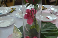 2019-GSR-Luau-WoA-DSC_0014