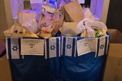 2025-GSR-WoA-Social-Action-donations