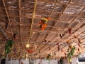 Sukkah ceiling